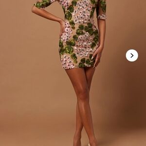 Fashion Nova Floral Mesh Dress in Pink and Green